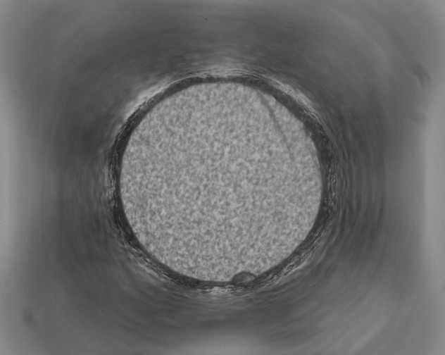 X0000112421160200909251510