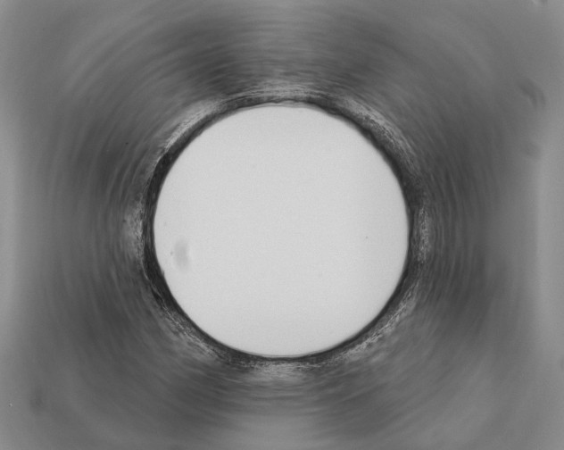 X0000112421162200909251510