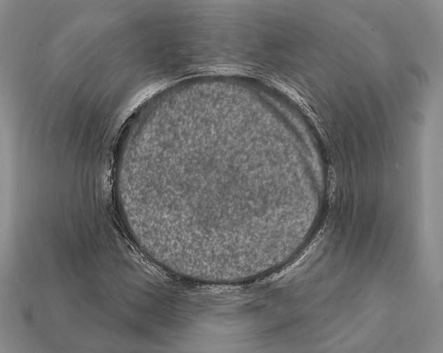 X0000112421163200909251510