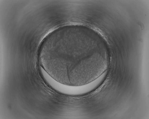 X0000112421165200909251510