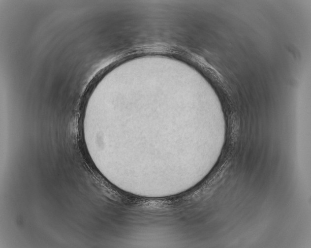 X0000112421166200909251510