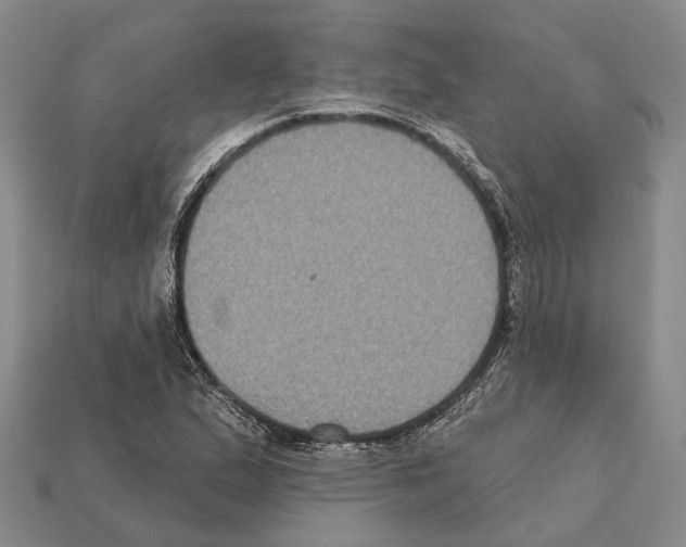 X0000112421167200909251510