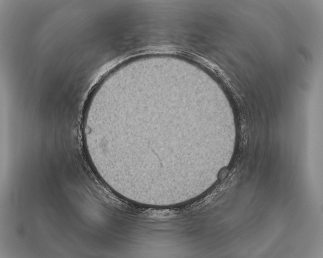 X0000112421168200909251510