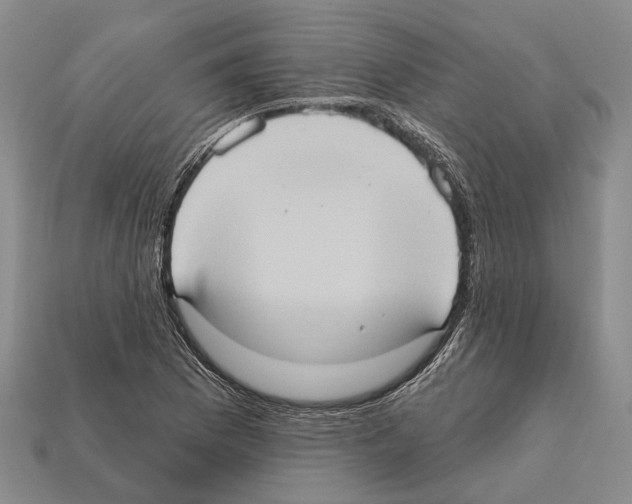 X0000112421169200909251510