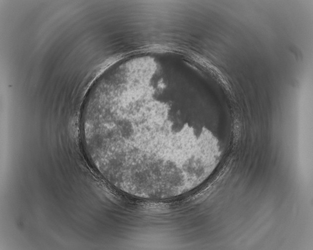 X0000112421170200909251510