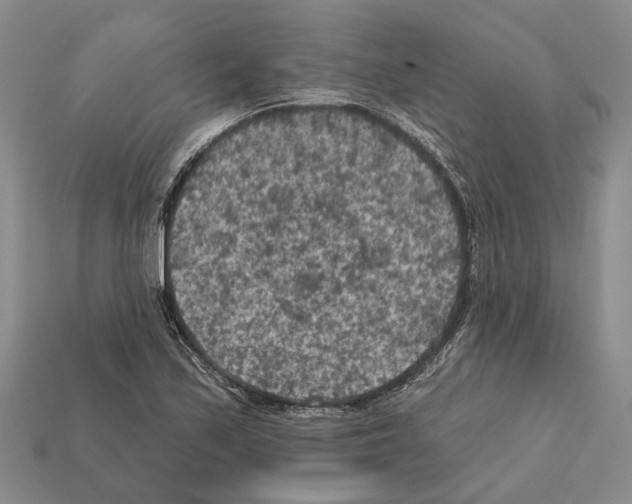 X0000112421171200909251510