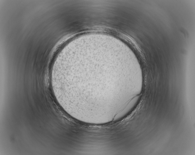 X0000112421172200909251510