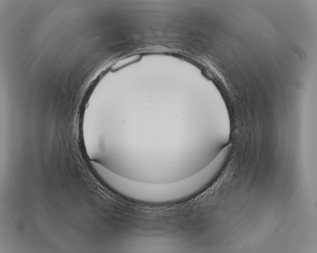 X0000112421173200909251510