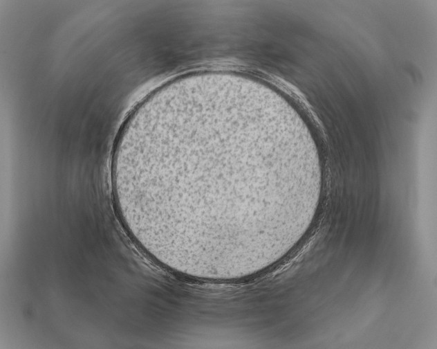 X0000112421176200909251510