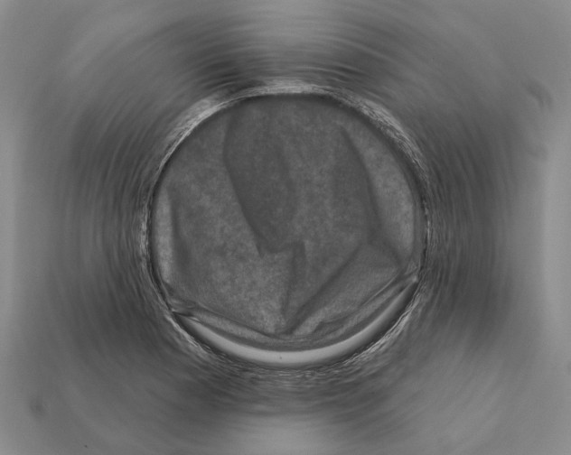 X0000112421177200909251510