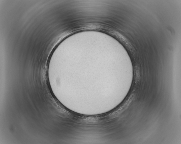 X0000112421178200909251510