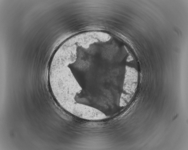 X0000112421179200909251510