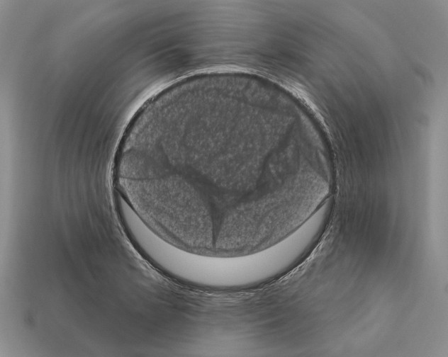 X0000112421181200909251510