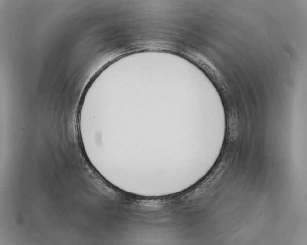 X0000112421182200909251510