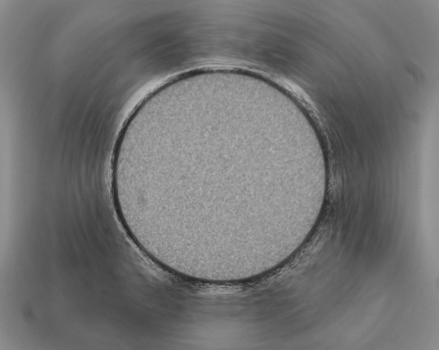 X0000112421183200909251510