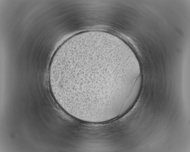 X0000112421184200909251510