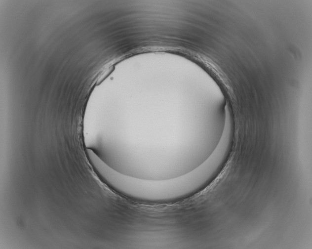 X0000112421185200909251510