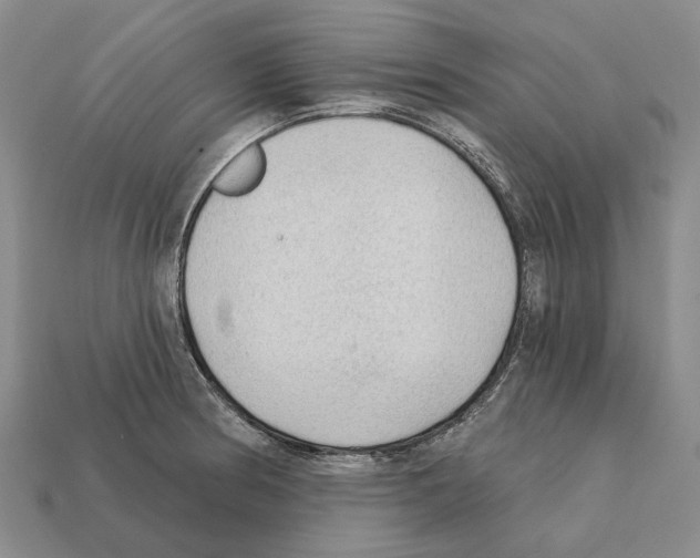 X0000112421186200909251510