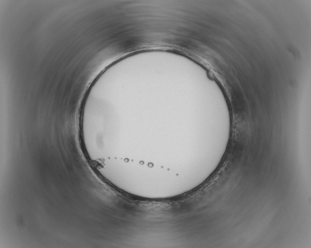 X0000112421187200909251510