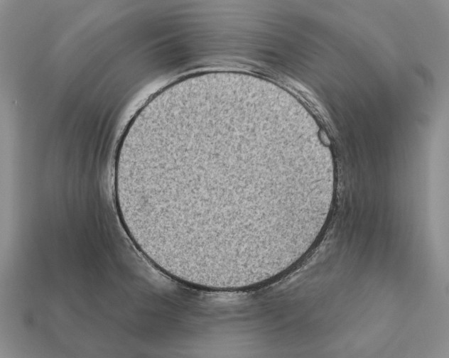 X0000112421188200909251510