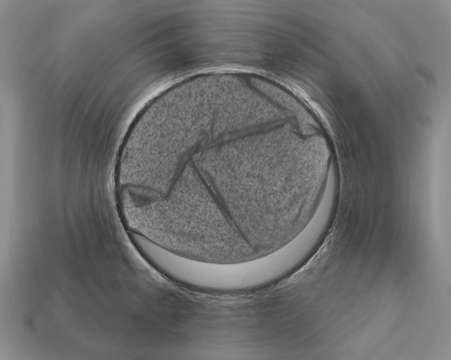 X0000112421189200909251510