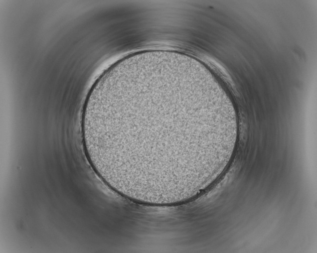 X0000112421192200909251510