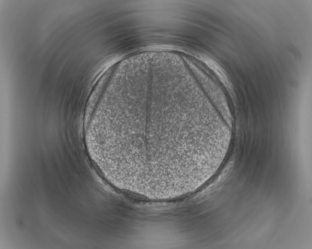 X0000112421193200909251510