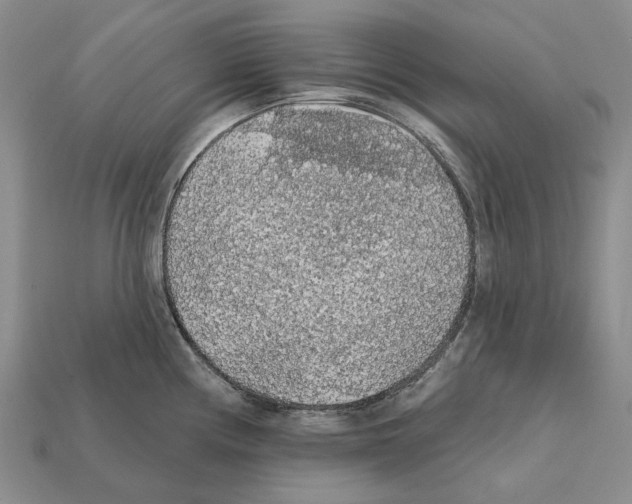 X0000112421194200909251510