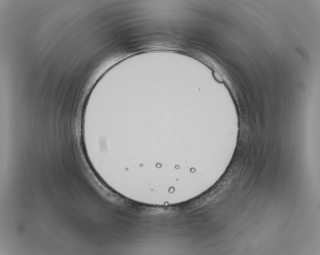 X0000112421195200909251510