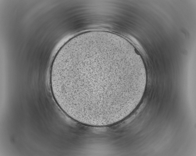 X0000112421196200909251510