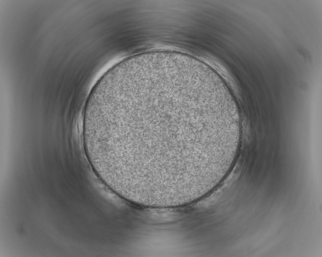 X0000112421198200909251510