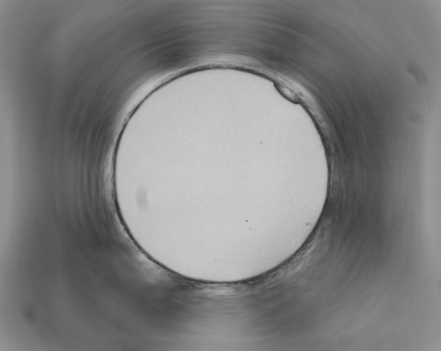 X0000112421199200909251509