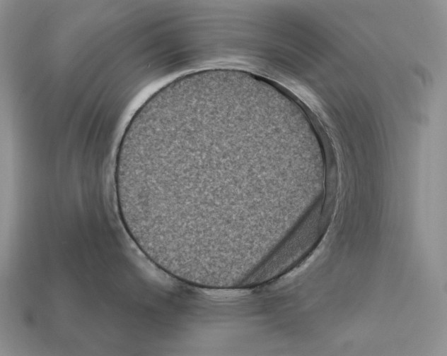 X0000112421200200909251509