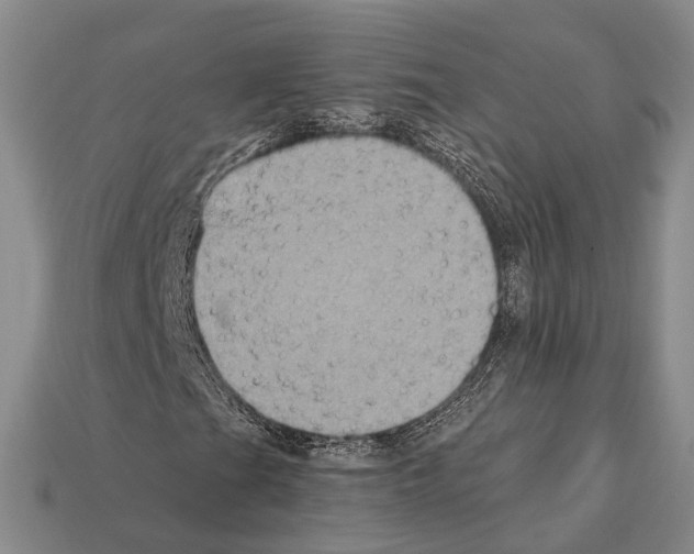 X0000112421201200909251509