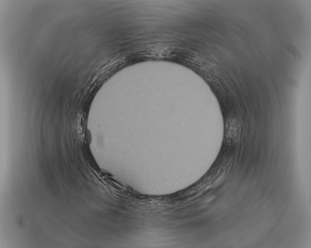 X0000112421202200909251509