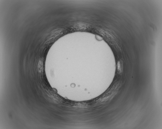 X0000112421203200909251509