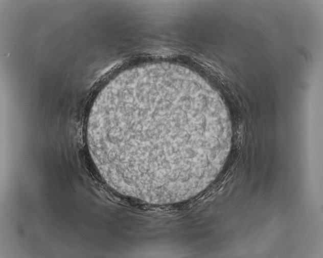 X0000112421205200909251509