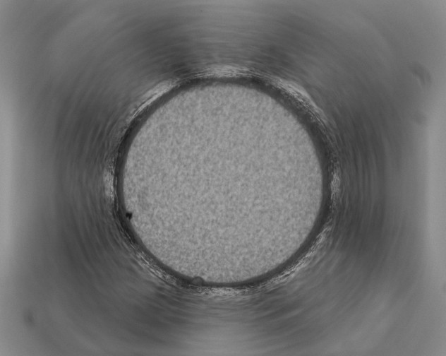 X0000112421209200909251509