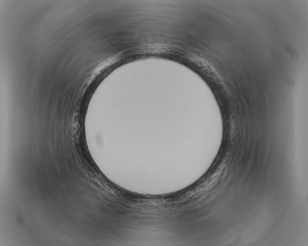 X0000112421210200909251509