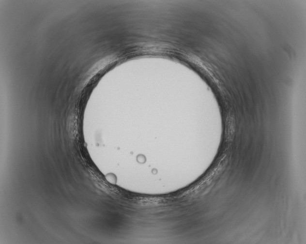 X0000112421211200909251509