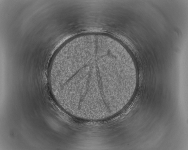 X0000112421212200909251509