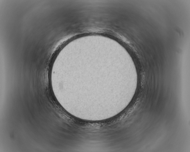 X0000112421214200909251509