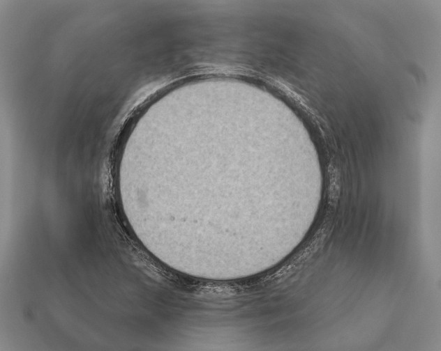 X0000112421215200909251509