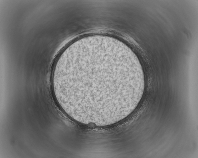 X0000112421216200909251509