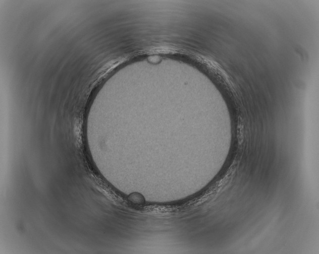 X0000112421217200909251509