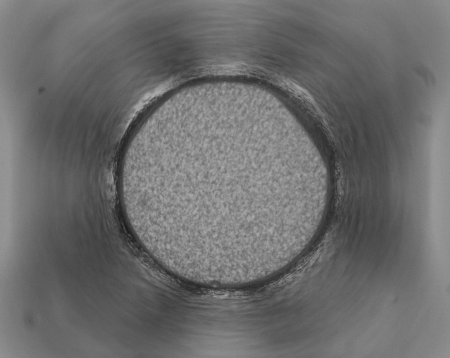 X0000112421218200909251509