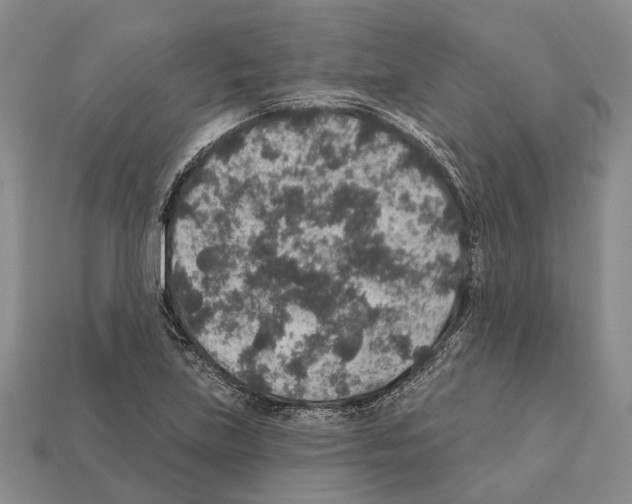 X0000112421219200909251509