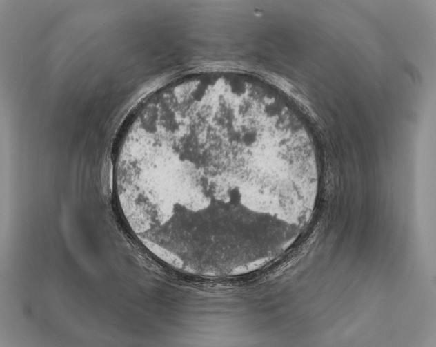 X0000112421221200909251509