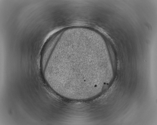 X0000112421222200909251509