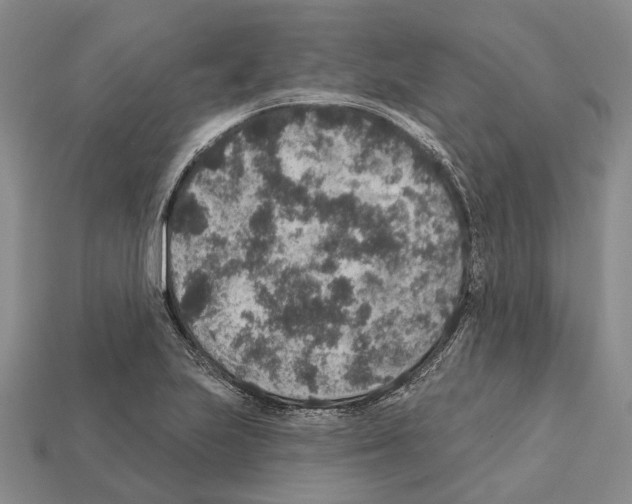 X0000112421223200909251509